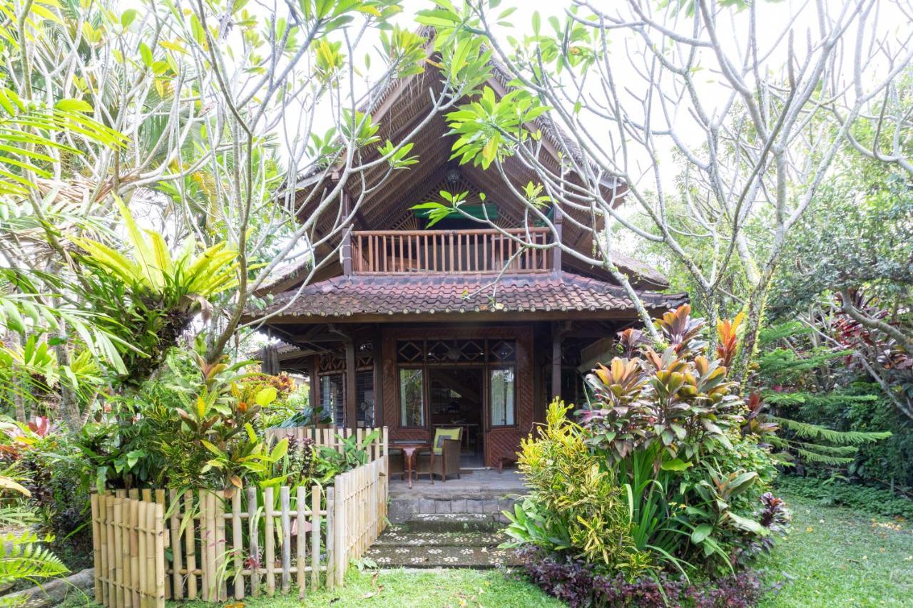 Bali Firefly Bed & Breakfast